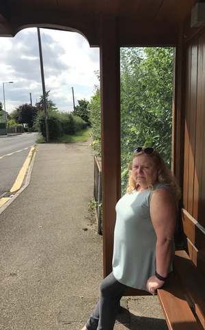 High Hedges and Bus Stop